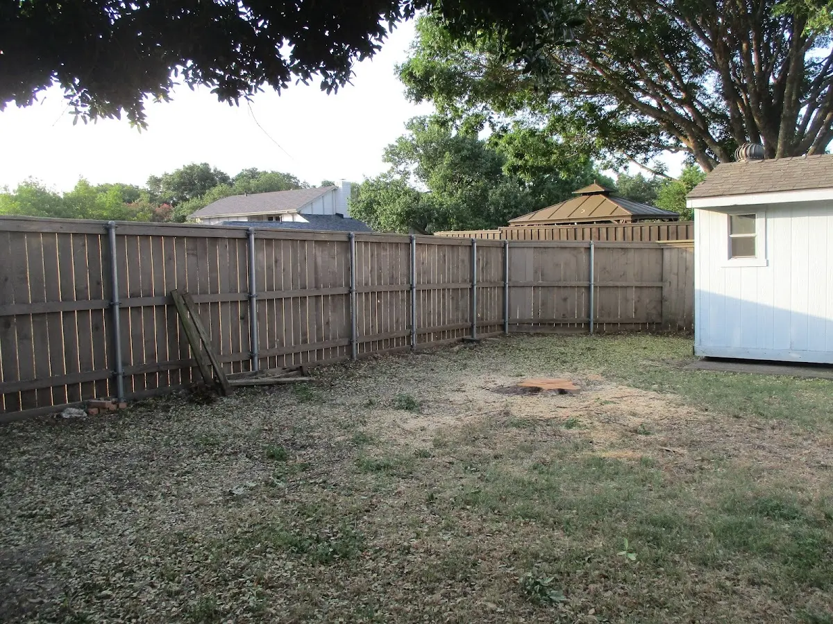 Cleared yard after professional tree removal in Irvington