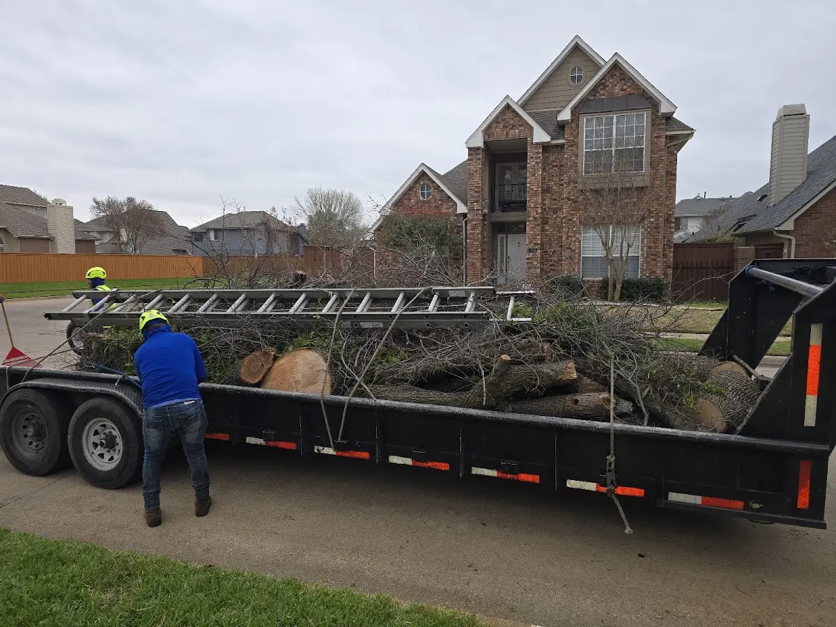 Expert Tree Fertilization with proper safety equipment in Irvington